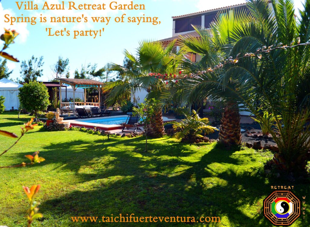 Villa Azul Fuerteventura – 2015