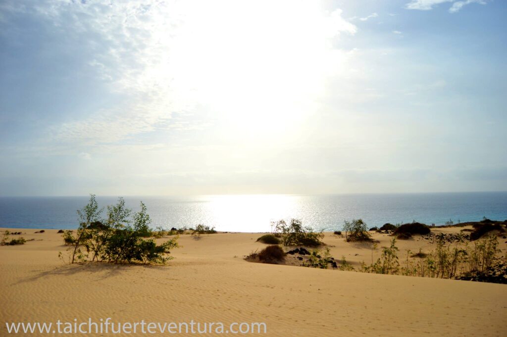 Villa Azul Fuerteventura – 2016