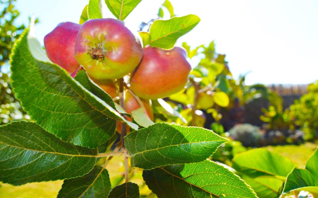 A note from our spring newsletter